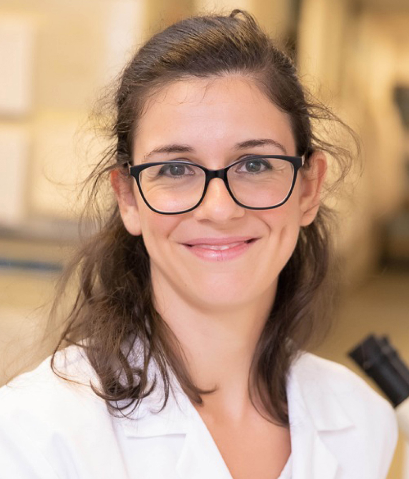 Elysse is a Postdoctoral Researcher at the Garvan Institute.