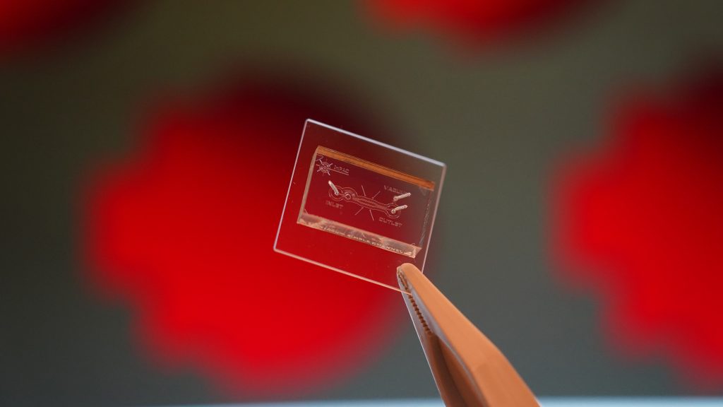Imagine standing in your kitchen at home, feeling a little off colour. You grab a handheld device from the medicine cabinet and breathe into it, looking for an instant diagnosis of whatever you’re coming down with.

With our combs technology, this may one day become a reality.